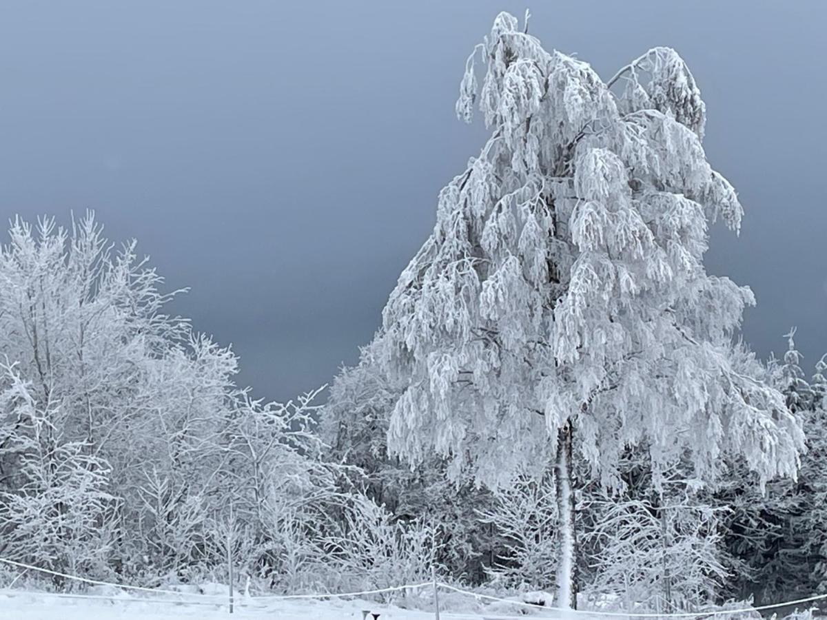 Apartment Lotta Winterberg Zewnętrze zdjęcie