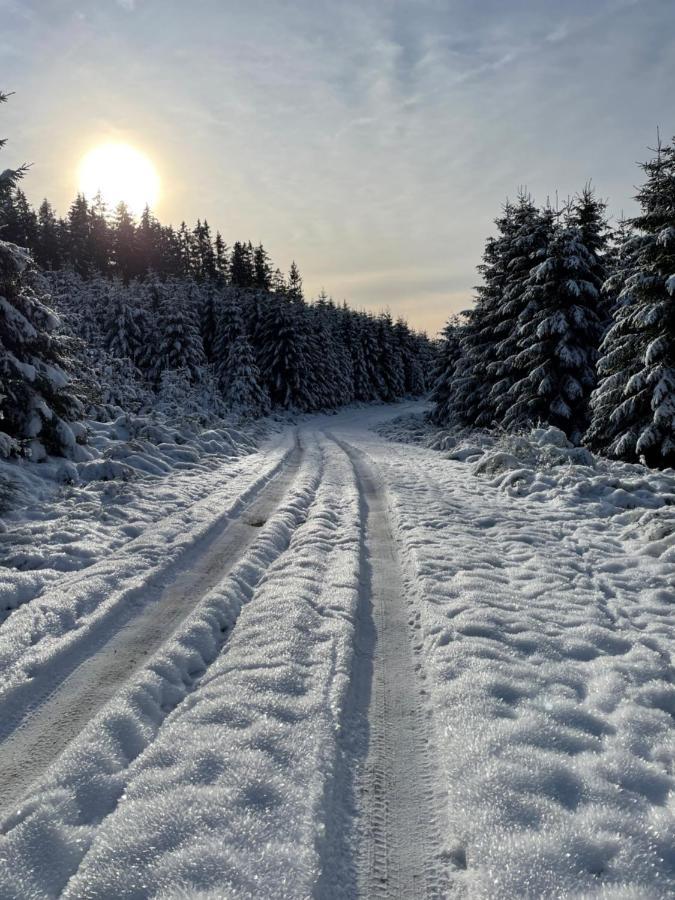 Apartment Lotta Winterberg Zewnętrze zdjęcie